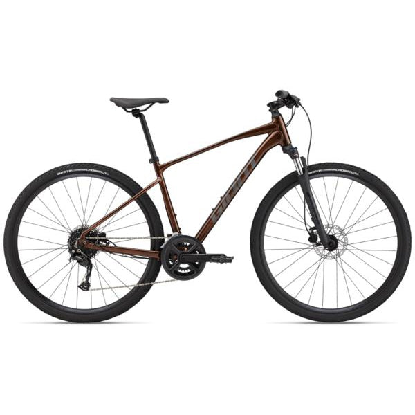 Roam 2 Disc Hybrid Bike (2022)