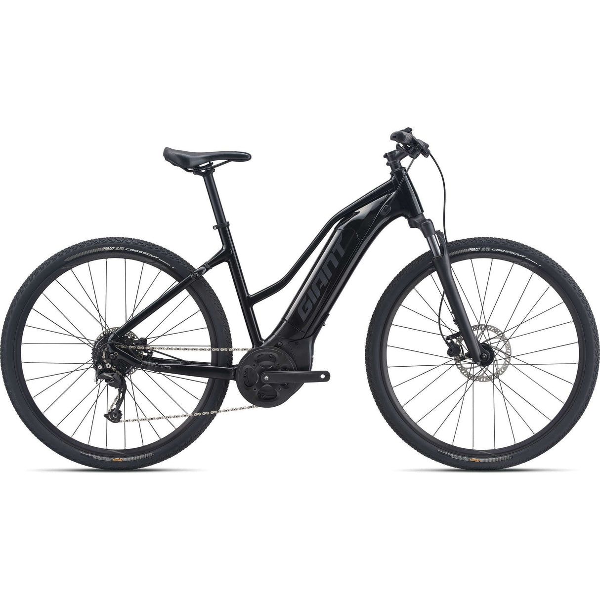 Roam E+ STA Electric Bike (2022)