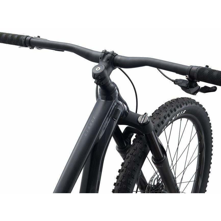 Stance 2 - 29er Mountain Bike (2021)