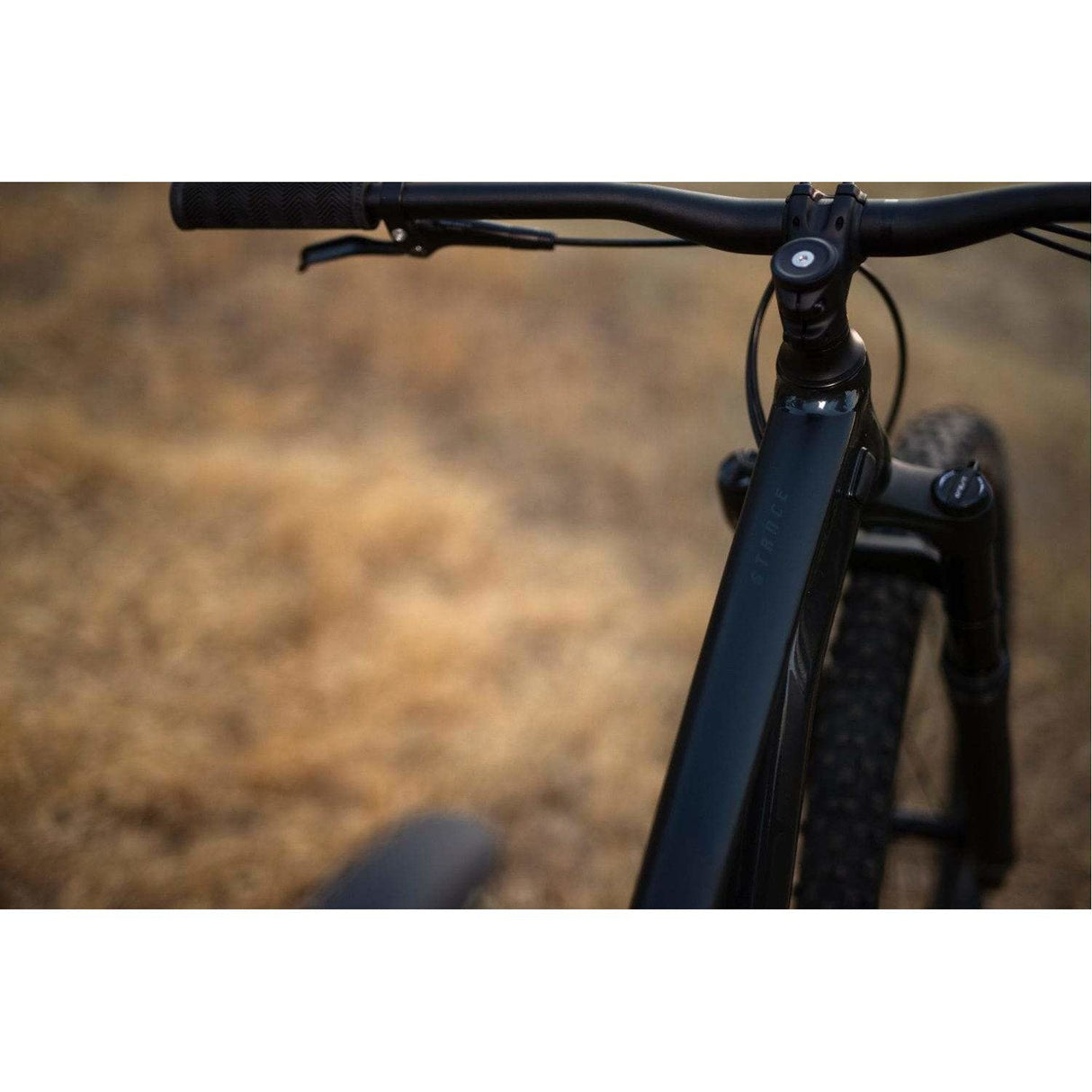 Stance 2 - 29er Mountain Bike (2021)