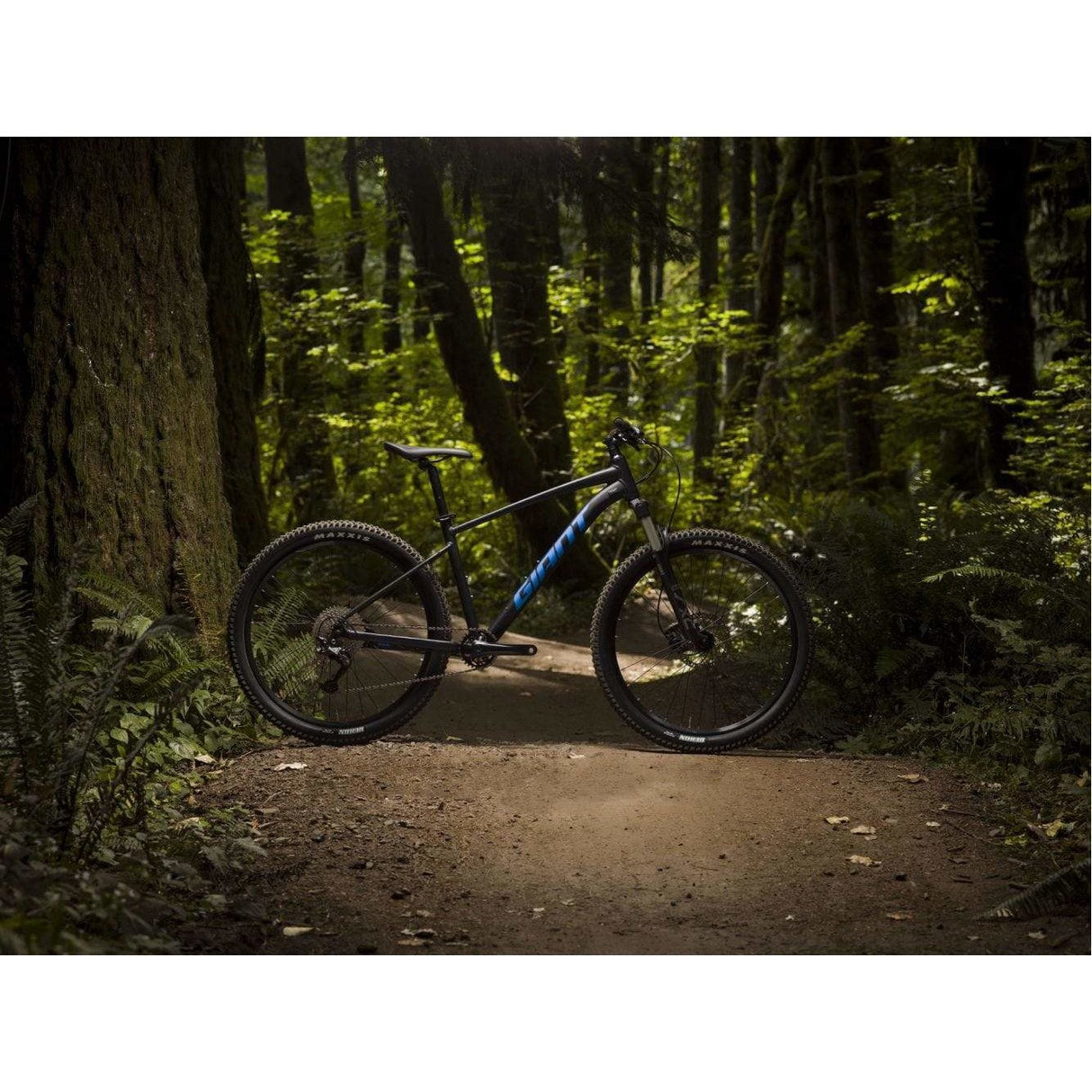 Talon 1 27.5" Mountain Bike (2021)