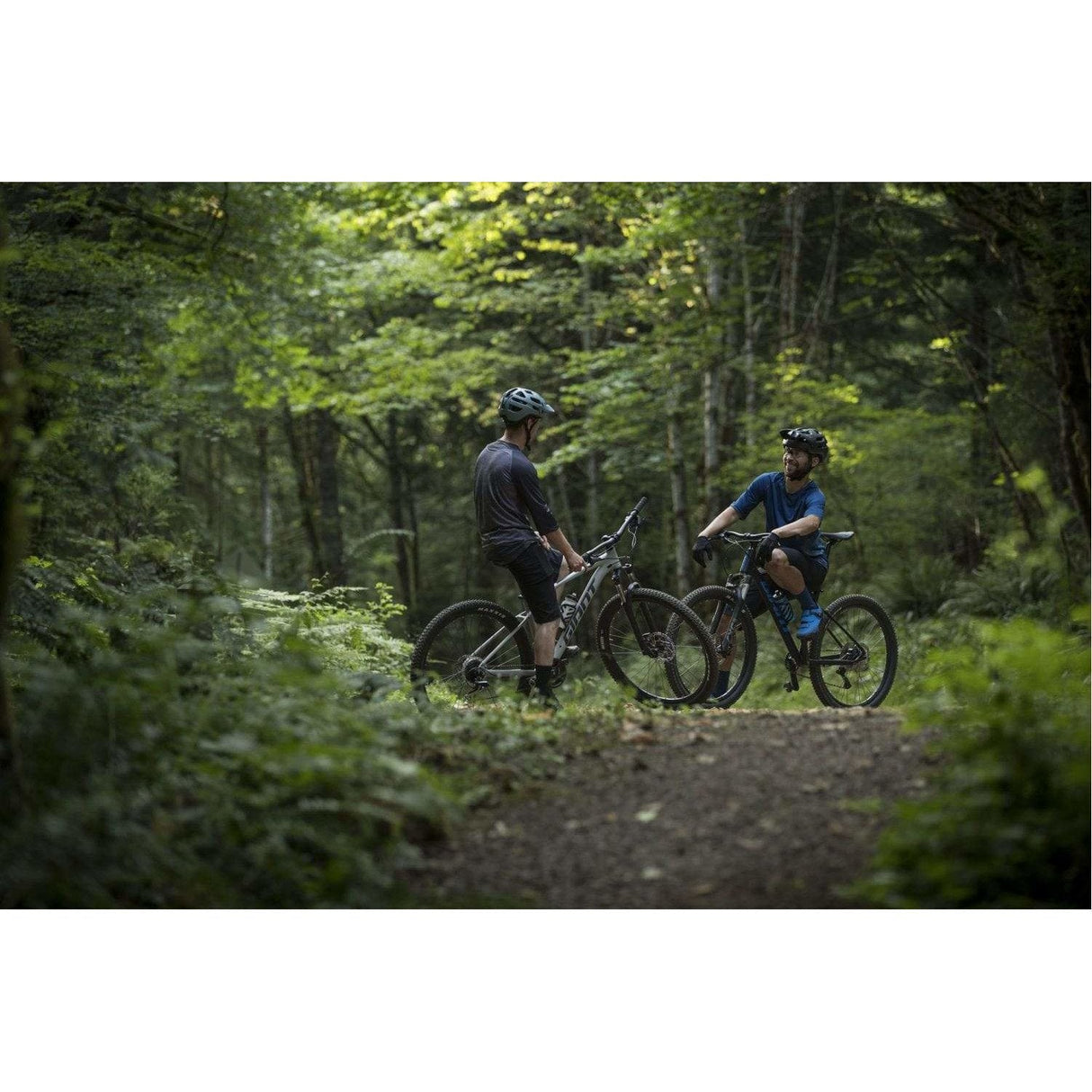 Talon 4 - 29er Mountain Bike (2021)