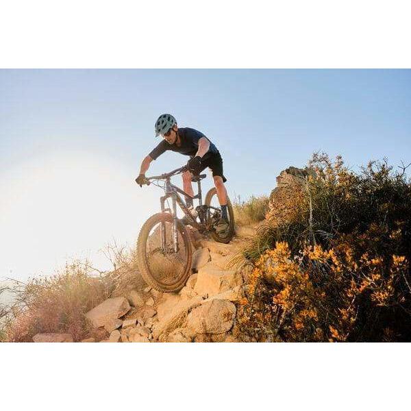 Trance 3 - 29er Mountain Bike (2021)
