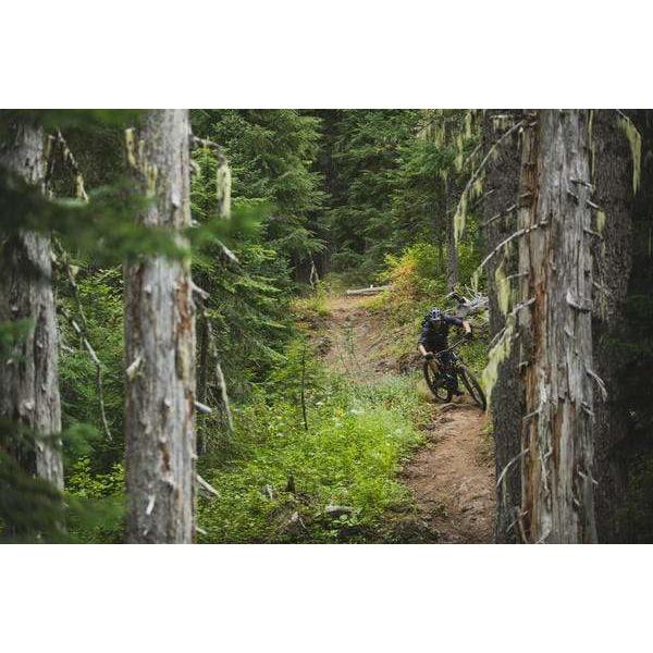 Trance X 2 29er Mountain Bike (2021)