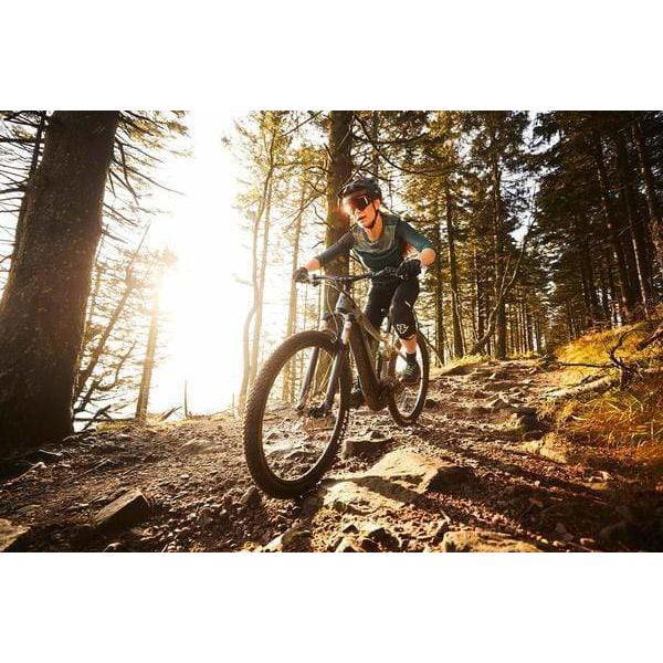 Embolden E+ 2 29er Electric Mountain Bike (2021)