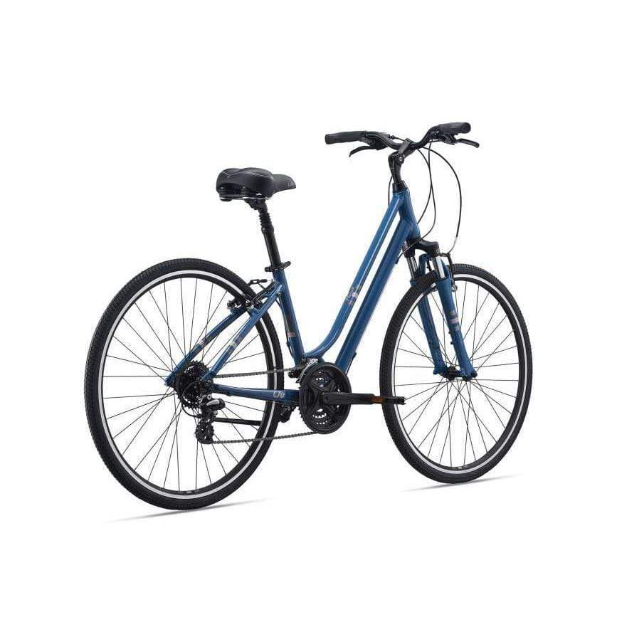 Flourish FS1 Comfort Bike (2021)