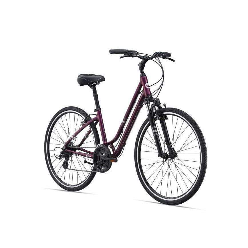 Flourish FS1 Comfort Bike (2021)