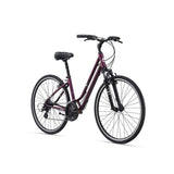 Flourish FS1 Comfort Bike (2021)