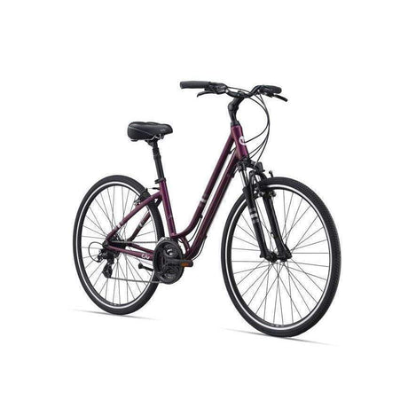 Flourish FS1 Comfort Bike (2021)