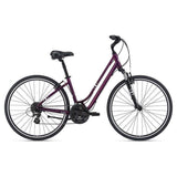 Flourish FS1 Comfort Bike (2021)