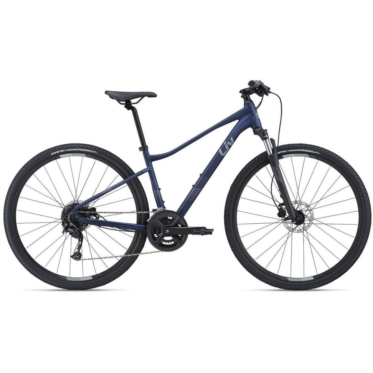 Rove 2 Disc Hybrid Bike (2021)