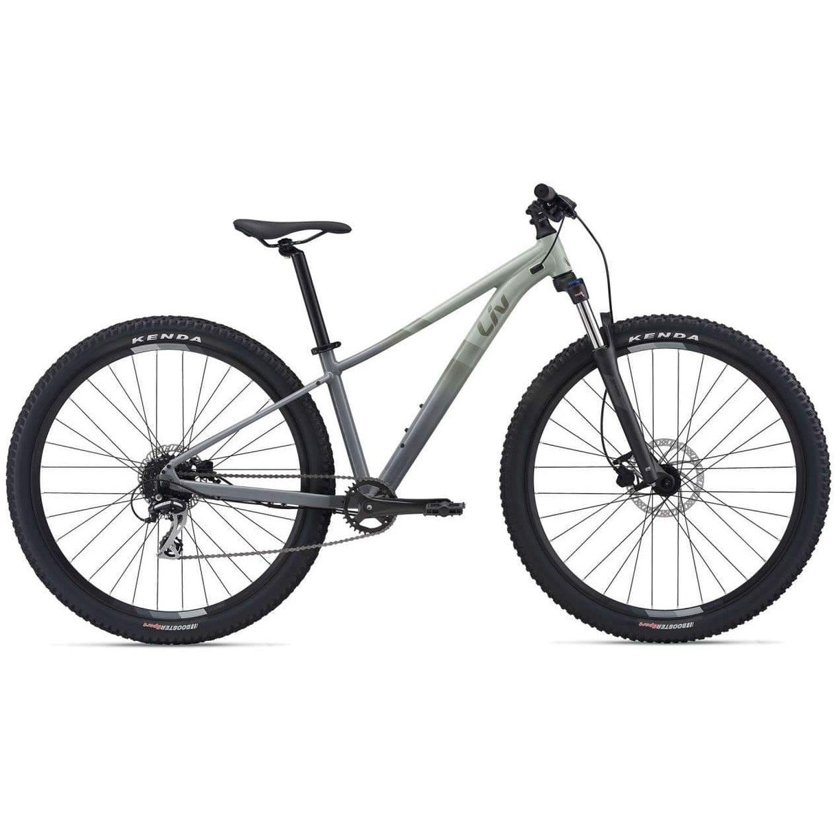 Tempt 2 - 29er Mountain Bike (2021)