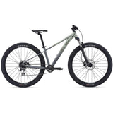 Tempt 2 - 29er Mountain Bike (2021)