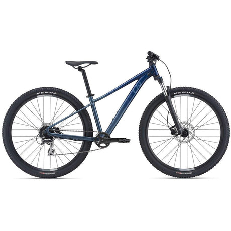 Tempt 2 - 29er Mountain Bike (2021)