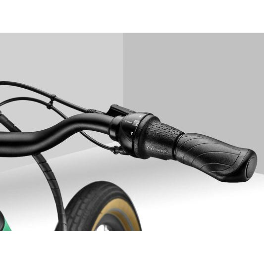 Vida E+ LDS 20MPH E-Bike